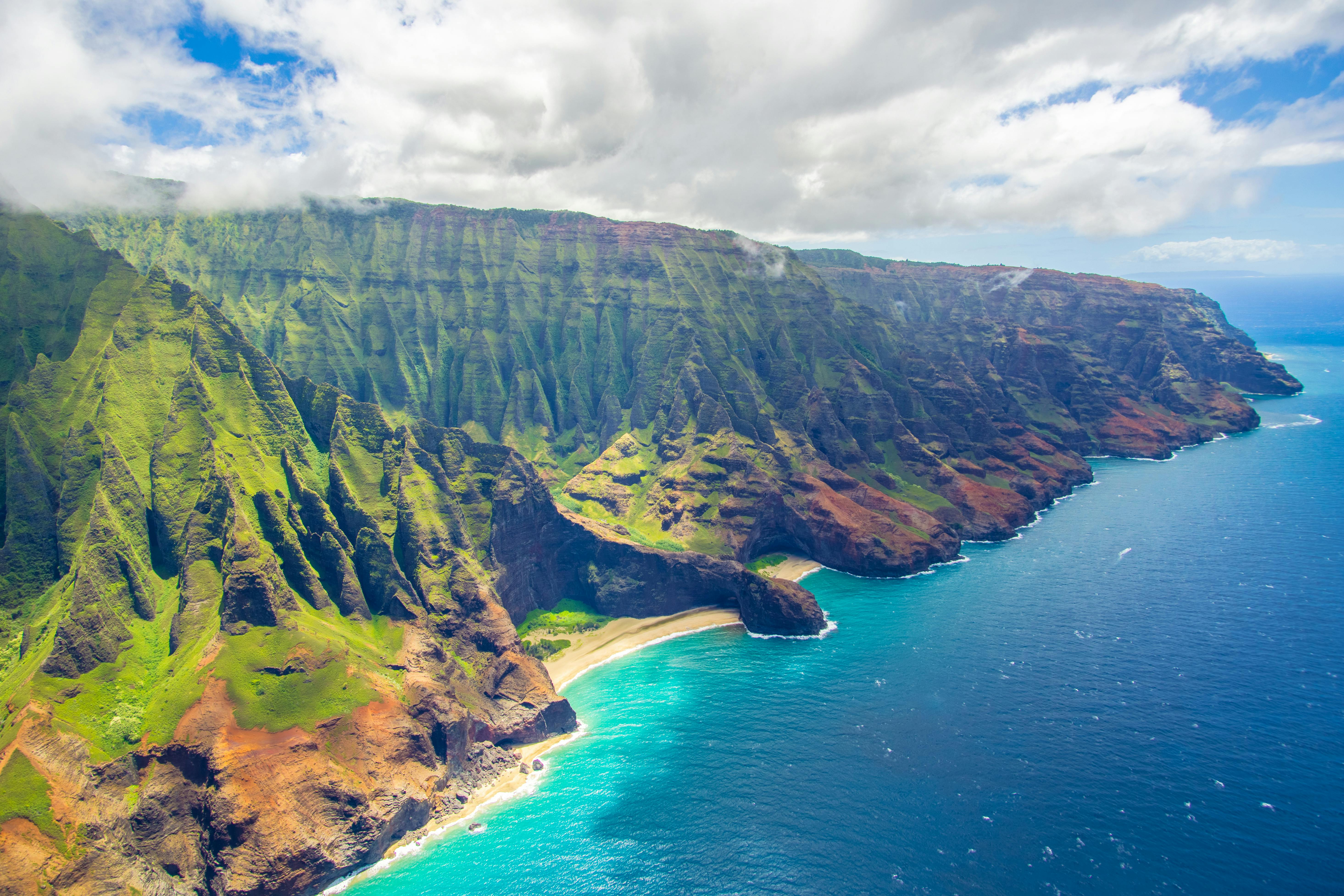 A beautiful beach in Hawaii with palm trees